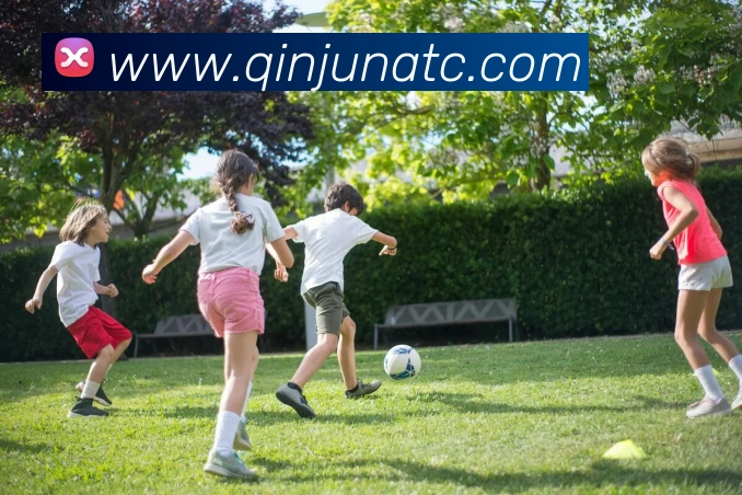 开云APP 高清赛事图