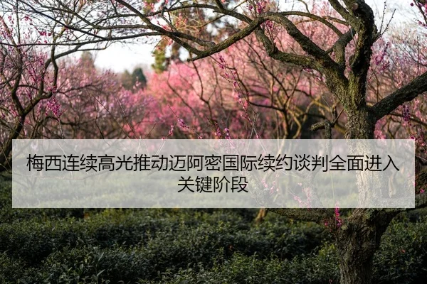 梅西连续高光推动迈阿密国际续约谈判全面进入关键阶段